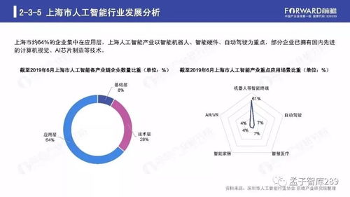 2019年人工智能行業(yè)現(xiàn)狀與發(fā)展趨勢(shì)報(bào)告 聚焦人工智能應(yīng)用軟件開發(fā)