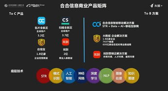 合合信息榮膺2018上海軟件雙百?gòu)?qiáng)，以人工智能驅(qū)動(dòng)創(chuàng)新未來(lái)